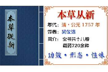 中药材【橘皮】功效与作用_本草从新_本草从新中草药大全