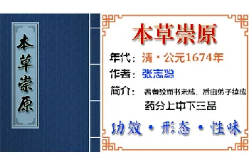 中药材【茯苓皮（附）】功效与作用_本草崇原卷上 本经上品_本草崇原中草药大全