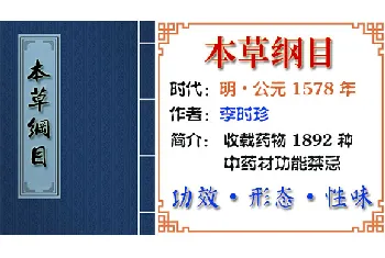 中药材【炉甘石】功效与作用_本草纲目金石部_本草纲目中草药大全