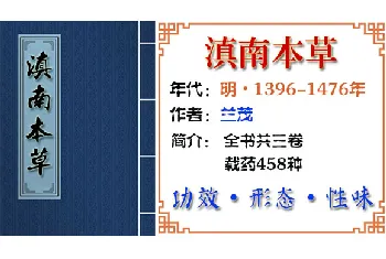 中药材【罂粟壳、罂粟】功效与作用_滇南本草第一卷_滇南本草中草药大全