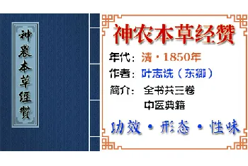 中药材【海藻】功效与作用_神农本草经赞卷二中经_神农本草经赞中草药大全