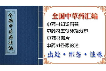 伤寒头(细叶香茶菜、虫牙药)的功效与作用_全国中草药汇编_伤寒头图片_中药材