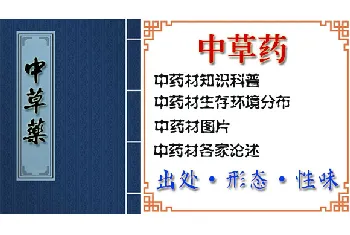 广东刘寄奴(鸭脚艾、四季菜)的功效与作用_广东刘寄奴图片_中药材