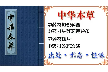 商陆(根、夜呼)的功效与作用_中华本草_商陆图片_中药材