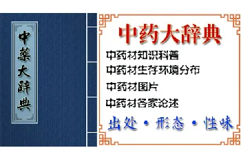 乌蔹莓(拔、茏葛、龙尾)的功效与作用_中药大辞典_乌蔹莓图片_中药材